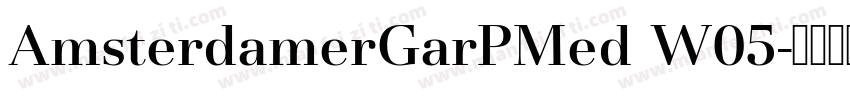 AmsterdamerGarPMed W05字体转换